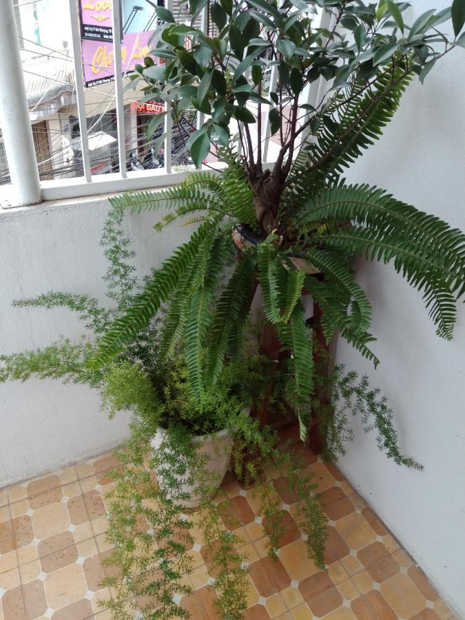 Da Lat 24H Guesthouse & Hotel ภายนอก รูปภาพ